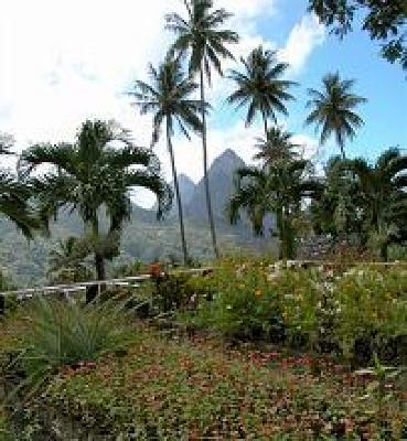 фото отеля La Haut Plantation Hotel Soufriere