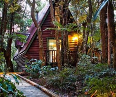 фото отеля The Mouses House Chalets Gold Coast