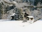 фото отеля Hotel al Faggio