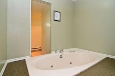 фото отеля BEST WESTERN Albany Airport Inn
