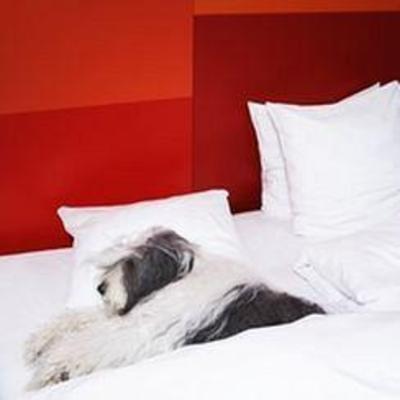 фото отеля First Hotel Reisen