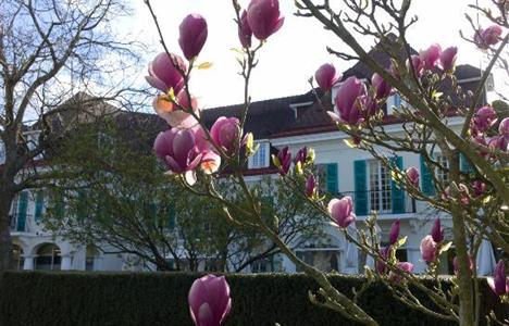 фото отеля Chateau de Montreuil