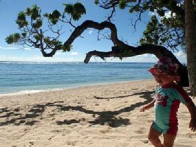 фото отеля Lagoon Lodges Rarotonga