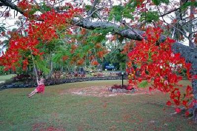 фото отеля Lagoon Lodges Rarotonga