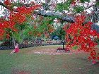 фото отеля Lagoon Lodges Rarotonga