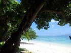 фото отеля Lagoon Lodges Rarotonga