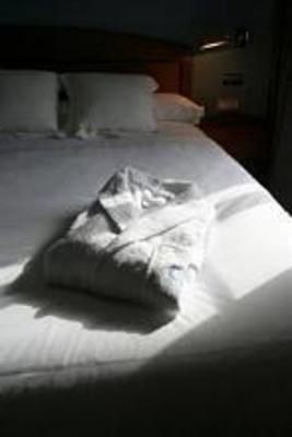 фото отеля Egido Don Manuel Hotel Aranjuez