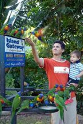 фото отеля Island Gateway Holiday Park