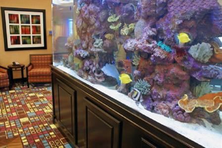 фото отеля Homewood Suites by Hilton Fort Myers Airport / FGCU