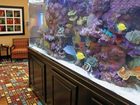фото отеля Homewood Suites by Hilton Fort Myers Airport / FGCU