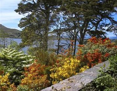 фото отеля Ard Na Sidhe Country House Killorgin
