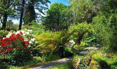 фото отеля Ard Na Sidhe Country House Killorgin