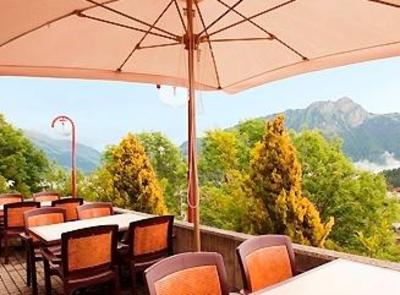 фото отеля Mercure Classic Hotel Leysin