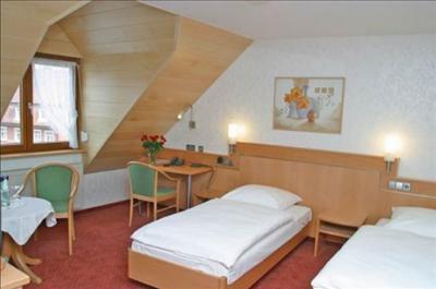 фото отеля Hotel Restaurant Zum Hirschen