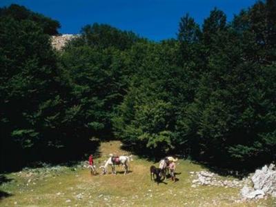 фото отеля Agriturismo Monaco Di Mezzo Resuttano