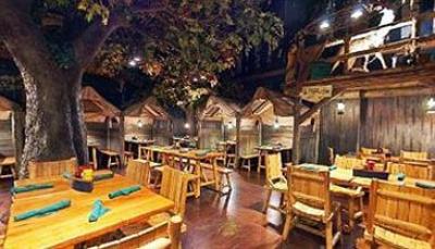 фото отеля Great Wolf Lodge Traverse City