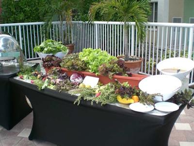 фото отеля Doubletree Suites by Hilton Naples