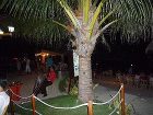 фото отеля Lost Horizon Beach Dive Resort
