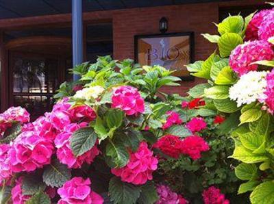 фото отеля Bio Suites Rethymno