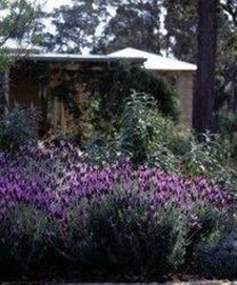 фото отеля Australis Margaret River