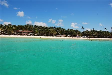 фото отеля Red Coconut Beach Hotel