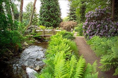 фото отеля Parkhotel Am Taunus