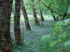 фото отеля Gleann Fia Country House Killarney