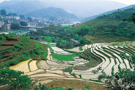 фото отеля InterContinental Chongqing