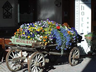 фото отеля Hotel Baita Fiorita