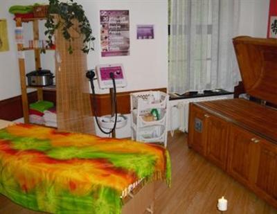 фото отеля Zamecky Hotel Trest