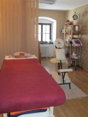 фото отеля Zamecky Hotel Trest