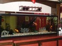 Motel Castille