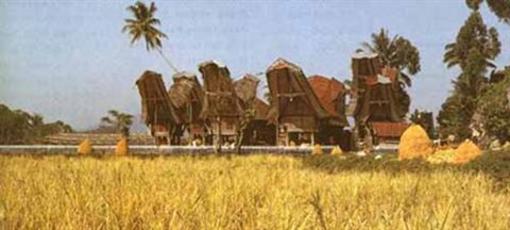 фото отеля Hotel Marante Tana Toraja