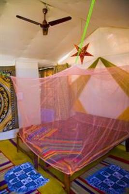фото отеля Dolphin Beach Resort Mandrem