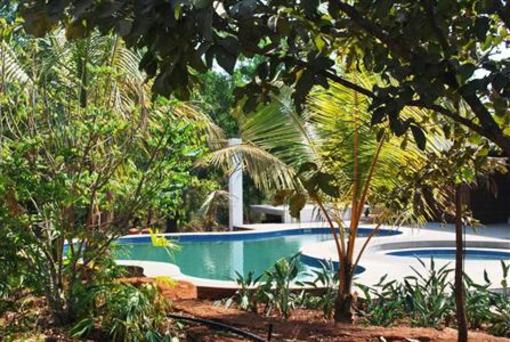 фото отеля The Fern Samali Resort