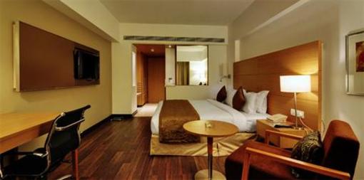 фото отеля Hotel Platinum Residency