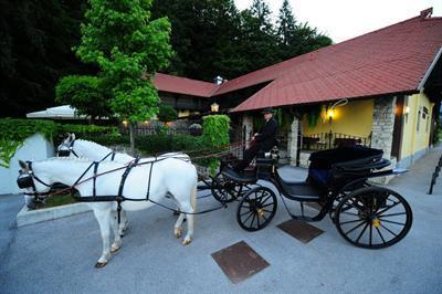фото отеля Hotel Grad Podvin