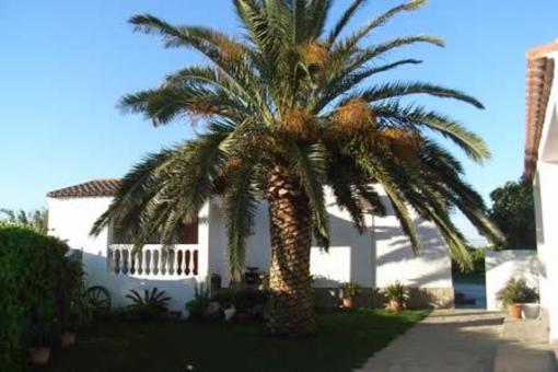 фото отеля Hostal El Levante Tarifa