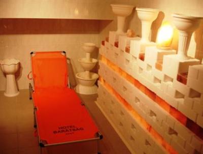 фото отеля Kur & Wellness Hotel Baratsag