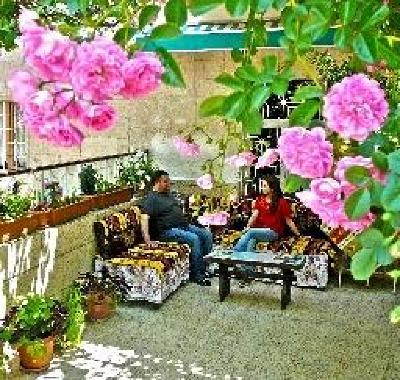 фото отеля Hotel Elvan