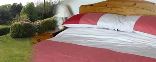 фото отеля Beacon Country House Hotel