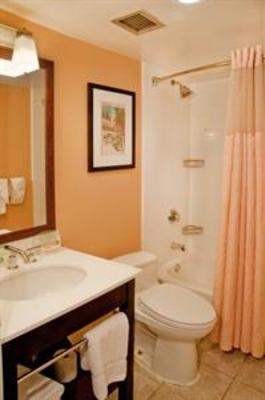 фото отеля Holiday Inn Forest Park