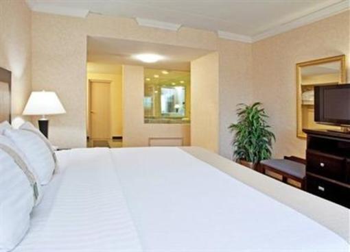 фото отеля Holiday Inn Farmington Hills Novi