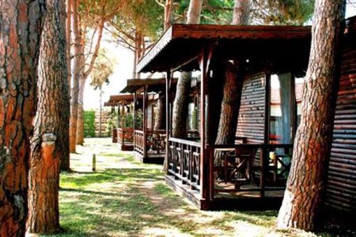 фото отеля Flora Garden Beach Club Hotel Manavgat