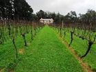 фото отеля Frederick @ Mantons Creek Vineyard Lodge Melbourne
