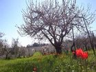 фото отеля Fattoria San Martino Farmhouse Montepulciano