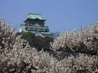 фото отеля Hearton Hotel Shinsaibashi