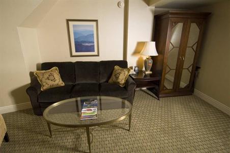 фото отеля Hotel Roanoke (Virginia)