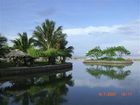 фото отеля Palmas del Mar