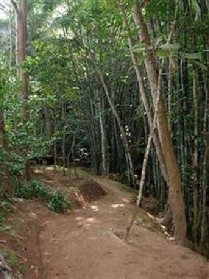 фото отеля Fern Resort Mae Hong Son